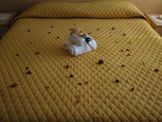 B&B Tufaro Alberico - 5