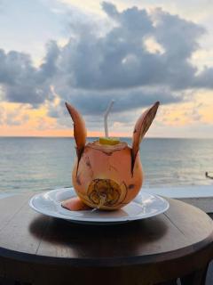 Ocean Front Villa - 6