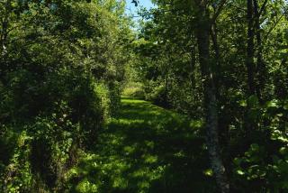 Braefoot Cottage at Lower Aylescott - 3