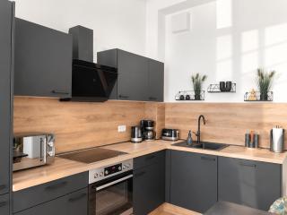ANER2 STYLISCHE Ferienwohnung mit Sauna in Dresden Weißer Hirsch - Dresde - 7