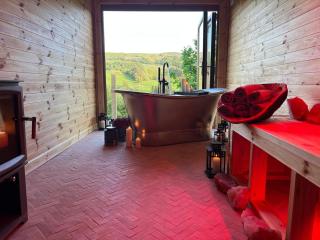 Secluded Lodge with Spa Room - 9