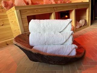 Secluded Lodge with Spa Room - 6