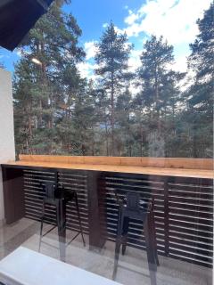 Pine Nest Borovets - 1