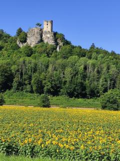 Limerhof - 5