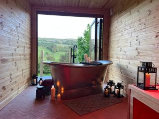 Secluded Lodge with Spa Room - 0