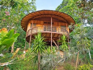 Junglebungalow - 0