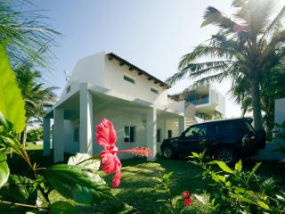 Casa das Palmeiras Palm Tree House - 6