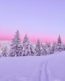 Nordseter Fjellpark, Hyttegrend - Nordseter - 8