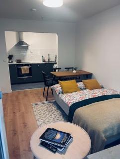Apartment near city center - 2