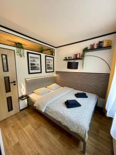 Apartmán Dobrovského - 5