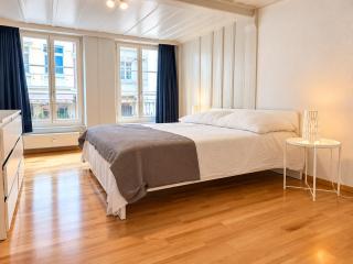Aussicht auf Thun & Aare – direkt am Mühleplatz - 6