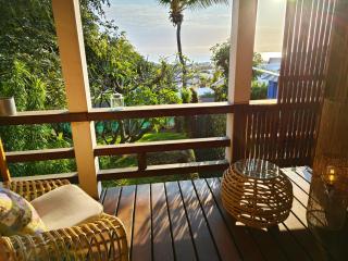 villa de charme bois, bioclimatique, classée, grande piscine et vue mer, 10 mn pied plages st gilles les bains - 9