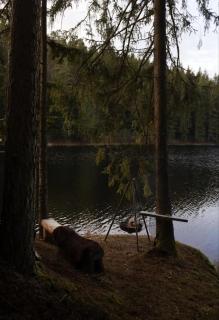 Fairytale Lake - 3
