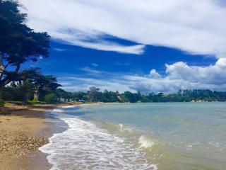 Waiheke Island Oneroa - Oneroa - 9