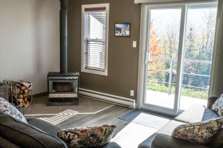 Ski Chalet - Le Loup - 9