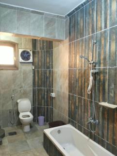 Mountain View Family Apartment near Habu - 3