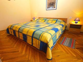 Apartment with A - C in Valbandon-Istrien 44837 - 1