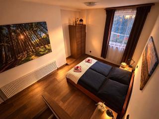 Apartmány s privátním wellness v Podkrkonoší - 7