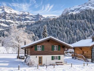 Sonniges Chalet mit fantastischem Bergblick - 0