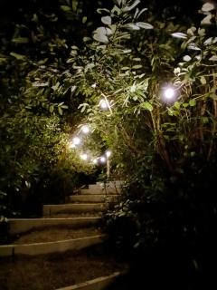 Fairy Soul Cabin - 7