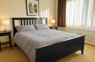 Alpin Apartment WEF location - 9