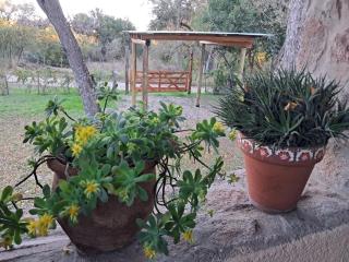 Las Mandarinas - 4