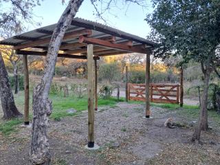 Las Mandarinas - 2