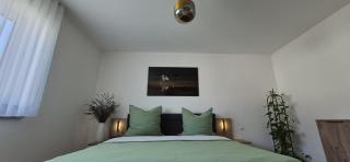 Apartment in Memmingen Steinheim - 7