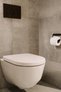 Newly Built Top-Floor Apartment- Zurich - 9