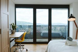 Newly Built Top-Floor Apartment- Zurich - 8
