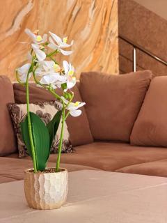 Armonia Chalet - 1