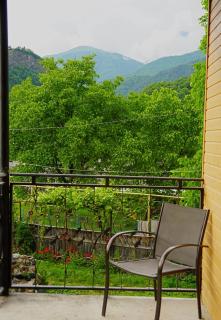 Cottage Gharula-კოტეჯი ღარულა - 2