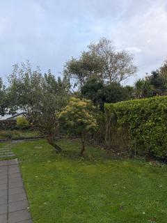 61moyola park - 2