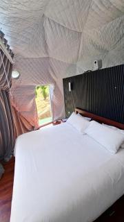 Alta Vista Domo Glamping - 6