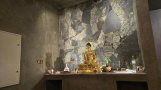 Ceylon wilpattu hideaway - 1