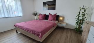 Apartment in Memmingen Steinheim - 8
