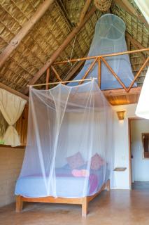 Bungalow #6 - Casa Axolotl - 1