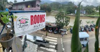 Lotus guest inn-Thalawakele - 3