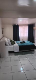 Big & comfortable 5 BR house Paramaribo North - 8