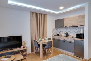 Panorama Studio 17 - 1
