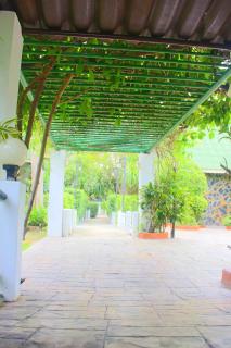 Squid Resort - Haad Chao Samran - 2