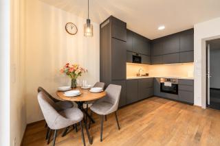 Cozy Modern Apartment with Balcony & Garage - 7