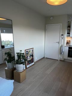 1-room apartment in Ski - 4