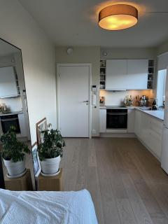 1-room apartment in Ski - 2