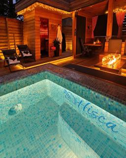 House "HISCA" With Private Terrace, BBQ, Fireplace, Sauna, Hot Tub - 0