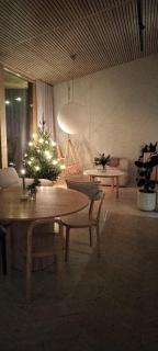Arctic Villa Juniper - 0