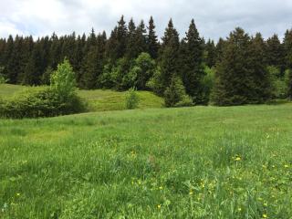 Horský Wigwam Geronimo - 8