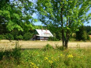 Horský Wigwam Geronimo - Horní Malá Úpa - 9