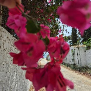 Residence bosten 3 hammamet - 5