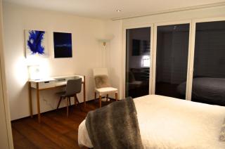Ski-in Ski-out Apartment with Matterhorn view - 1